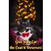 Fluffy Feline Cat Dandruff Care Spray - Buy Online at [Your Company Name] - Buy Online on GoSupps.com