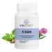 Vitasecrets Calm Stress Relief Supplement - Ashwagandha Capsules GABA Green Tea Extract and L Theanine Boosts Mood Gluten Free No Artificial Colors or Preservatives - 60 Capsules