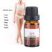 10 ml Rose Aromatherapy Essential Oil - Stress Relief Body Care & Massage Oil for Relaxation - Buy Online on GoSupps.com