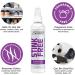 2Toms StinkFree Shoe Odor Eliminator Spray - 8 oz, Pack of 2 - Removes Gear Odors from Sweat - Buy Online on GoSupps.com