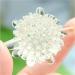 20 PCS/Set Transparent Solid Laundry Ball Decontamination and Anti-Entanglement Knotting Dropshipping Clothes Cleaning Ball - Buy Online on GoSupps.com