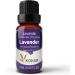 100% Pure Aromatherapy Essential Oils Diffuser Gift Set - Lavender Eucalyptus Tea Tree Rosemary Lemongrass & Peppermint - 6 x 10 mL - Buy Online on GoSupps.com