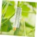 POPETPOP 4pcs Shaped Growth Mold Ginseng Transparent Fruit Shaping Mold Acrylic Small Fruit Vegetable - Buy Online on GoSupps.com