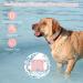 Ainiv Waterproof Silicone Case for Apple Airtag - Protective Cover for Dog & Cat Collars Pink Airtag Holder Ideal Pet Tracking Accessory - Buy Online on GoSupps.com