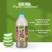 Naturae Healthy Aloe Vera Juice with Pulp Organic & Cold-Processed Supports Stomach Acidity Regulation and Overall Digestive Wellness - 33.8 fl oz 1 Unit - Buy Online on GoSupps.com
