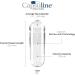 Capsuline Size 00 Veggie Empty Capsules - Acid Resistant Clear Vegan Pill Capsules Non-GMO Kosher 1000 Count for DIY Use - Buy Online on GoSupps.com