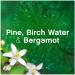 Lenor Fabric Conditioner 50 Washes 1.65L Wellbeing Collection Ocean Mist Scent Pack of 2 + for You: Organza Small Bag - Buy Online on GoSupps.com