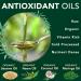 Antioxidant Oil Pulling Super Oral Conditioner with Cold Pressed Sesame Neem Moringa & Coconut Oil for Teeth & Gum Health - 18 Botanical Extracts CoQ10 & Vitamins Refreshing Anise Flavor - Buy Online on GoSupps.com