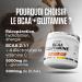 Superset Nutrition | BCAA + Glutamine (420g) | BCAA | 4-in-1 Formula: BCAAs Glutamine Electrolytes vitamin C - Buy Online on GoSupps.com