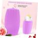 DOITOOL Ice Rollers Ice Facial Roller Cool Rolling Globe Ice Ball Skin Roller Cooling Globes for Eyes Facial Ice Roller Ice Roller Puffiness Purple Face Ice Bag Silica Gel 11.4x6.5cm Purple - Buy Online on GoSupps.com