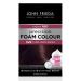 John Frieda Precision Foam Colour  Deep Cherry Brown 3VR  Full-coverage Hair Color Kit  with Thick Foam for Deep Color Saturation DEEP CHERRY BROWN 3VR Single