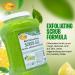 SPA REDI Lemon & Lime Pumice Scrub Gel - Exfoliating & Hydrating 128oz | Glowy Smooth Skin with Hyaluronic Acid & Comfrey Extract - Buy Online on GoSupps.com