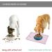 Reopet Silicone Pet Feed Mat - Waterproof Dog & Cat Space Mat with Elevated Edges (53x37 cm) - Choose 1-Pack in Thistle - Buy Online on GoSupps.com