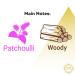 Patchouli 12 ml - METAL | Premium Perfume Oil | Attar Oil | Alcohol-Free | Vegan & Cruelty-Free Patchouli - METAL 100000 Count (Pack of 1) - Buy Online on GoSupps.com