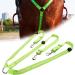 Bweele LED Horse Harness - Illuminated Chest Strap for Equestrian Sports | Red & Green Light Options for Night Riding - Buy Online on GoSupps.com