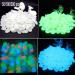 Pebbles 50/100/300pcs Glow in the Dark Garden Pebbles for Walkways Garden Decoration Glow Pebbles Plants Aquarium Luminous Stones Decorative Pebbles (Color : Blue Size : 50 PCS) 50 PCS Blue - Buy Online on GoSupps.com