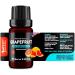 Grapefruit (Citrus paradisi) 100% Pure Essential Oil Select Grade 10ml - Buy Online on GoSupps.com
