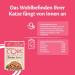 Wellness Core Tender Cuts Cat Food - Grain Free Wet Tuna Selection Mix (6 x 85g) - High Meat Content - International Shipping Available - Buy Online on GoSupps.com