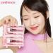 Mini Makeup Brushes Travel Set - LED Mirror Multifunctional Eyebrow & Blush Brush - Pink Roll Brush for Easy Application & On-the-Go Beauty - Buy Online on GoSupps.com