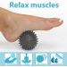 ALPIDEX Massage Balls Set of 5 | Hedgehog Balls for Trigger Point Therapy | Lacrosse Balls for Back Legs Feet & Hands - Different Hardness Levels - Buy Online on GoSupps.com
