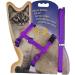 Sytaun Adjustable Orange Nylon Pet Leash - Durable Comfortable & Stylish | International Shipping Available - Buy Online on GoSupps.com