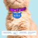 Ibera Gifts - Personalized Engraved Cat Head Collar Name Tag Medallion for Small to Large Cats - Custom Blue Plaque Tag - Buy Online on GoSupps.com