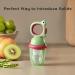 BC Babycare Baby Food Feeder Pacifiers - 2 Pack, Silicone, Food Grade, Infant Teether, Training Toy - Green - Buy Online on GoSupps.com