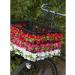 Basil Bike Decoration Flower Garland - Elegant White Floral Accent for Bikes | International Shipping Available - Buy Online on GoSupps.com