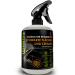 Quariss natural cleaner for black tap and ceramic - bathroom cleaner lime -free shower strong for sink water tap bath shower head tiles - faucet cleaning mysterious garden 0.5 l 1 x 500 ml