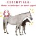 Manna Pro Weight Accelerator for Senior Horses - 8 lbs with Omega 3 & Probiotics - Buy Online on GoSupps.com