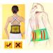 Brrnoo Self-Heating Adjustable Heat Belt for Back & Abdominal Pain Relief | Elastic Waist Trimmer & Kidney Support (L) - International Shipping Available - Buy Online on GoSupps.com
