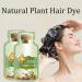 (100% 5 star) Natural Plant Hair Dye Botanical Bubble Hair Dye 20ml x 10 Packs | Fruitcolor Hair Dyeing Cream Natural Plant Hair Dye Shampoo | Pure Plant Extract (Natural Black) - Buy Online on GoSupps.com