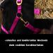 Halter for Horses with Rope | Premium Horse Halter for Shetty Pony Thoroughbred | Pink Warm Blood Model - Shop Internationally! - Buy Online on GoSupps.com