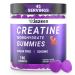 Sugar Free Creatine Monohydrate Gummies 5g for Men Women Creatine Monohydrate Gummy with L-Taurine Alpha GPC Vitamin B12