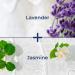Kiss My Face Goat Milk Lavender & Jasmine Body Wash - 16 oz with Argan Oil | Pack of 1 - Buy Online on GoSupps.com