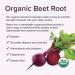 Sur Organic Beet Root Capsules 1000mg - Supports Healthy Circulation and Increased Energy - Nitric Oxide Superfood (120 Capsules) - Buy Online on GoSupps.com