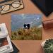 Buy 2 x 'Border Collie in the Bushes' Microfiber Lens Cloths - Perfect for Glasses - Fast International Shipping - Buy Online on GoSupps.com