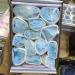 Natural Quartz Crystal Rough Gemstones and Minerals Raw Stones as Gifts Beautiful (Color : Blue Barite) - Buy Online on GoSupps.com