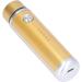 Mini USB Shaver Hypoallergenic Electric Shaver for Men (Gold) - Buy Online on GoSupps.com