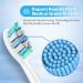 Replacement Toothbrush Heads for Philips Sonicare Electric Toothbrush - 8 Pack (White) - Buy Online on GoSupps.com