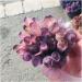 Natural Crystal Cluster Amethyst Purple Quartz Stone Raw Crystal Home Decor Crafts 300-400g - Buy Online on GoSupps.com