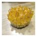 Yellow Electroplated Natural Crystal Cluster Specimen Raw Rock Quartz Flowers Aura Stones Gift Modern House Decor yuebang Reiki Crystal Stone