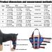 Dog Back Leg Support Dog Elbow Knee Brace Help Help Dog Keep The Joint Stable Pet Dog Hind Legs Protector|Blue (Right Leg XXS) right leg XXS - Buy Online on GoSupps.com