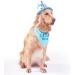 Ushang Pet Extral Large Dog Birthday Cake Hat & Birthday Bandana Scarfs Set Blue  Dog Happy Birthday Hat with Colorful Candles  Large Dog Birthday Party Supplies Decorations Birthday Hat & Bandana - Buy Online on GoSupps.com