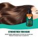 Hair Growth Serum with Ginger Oil - Anti-Hair Loss Thickening & Quick Growth - 30ml for Thinner Hair - Buy Online on GoSupps.com