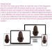 12in Curly Brown Ponytail Extension Claw Clip - Synthetic Fake Hair Extensions - Fluffy & Tangle-Free - Medium Brown Mix - 3.8 OZ - SYXLCYGG - Buy Online on GoSupps.com