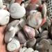 Natural Quartz Crystal White Shell Heart Natural Stones Minerals Crystals s for Home Decoration Home Office Decor 30-40mm 1pcs - Buy Online on GoSupps.com