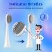 Burst Electric Toothbrush Compatible Replacement Heads - 10 Heads + 30 Floss Picks + 1 Holder | Deep Cleaning Bristles - White - Buy Online on GoSupps.com