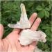 Crystal 40-50g Natural Crystal Quartz Cluster Colourful Specimen Electroplating Coated Reiki Stone Home Decoration Craft ERTEYIN - Buy Online on GoSupps.com