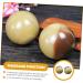 CLISPEED 2 Pieces Horn Fitness Ball Handles - Durable Imitation Horn for Optimal Workout Aid - Buy Online on GoSupps.com